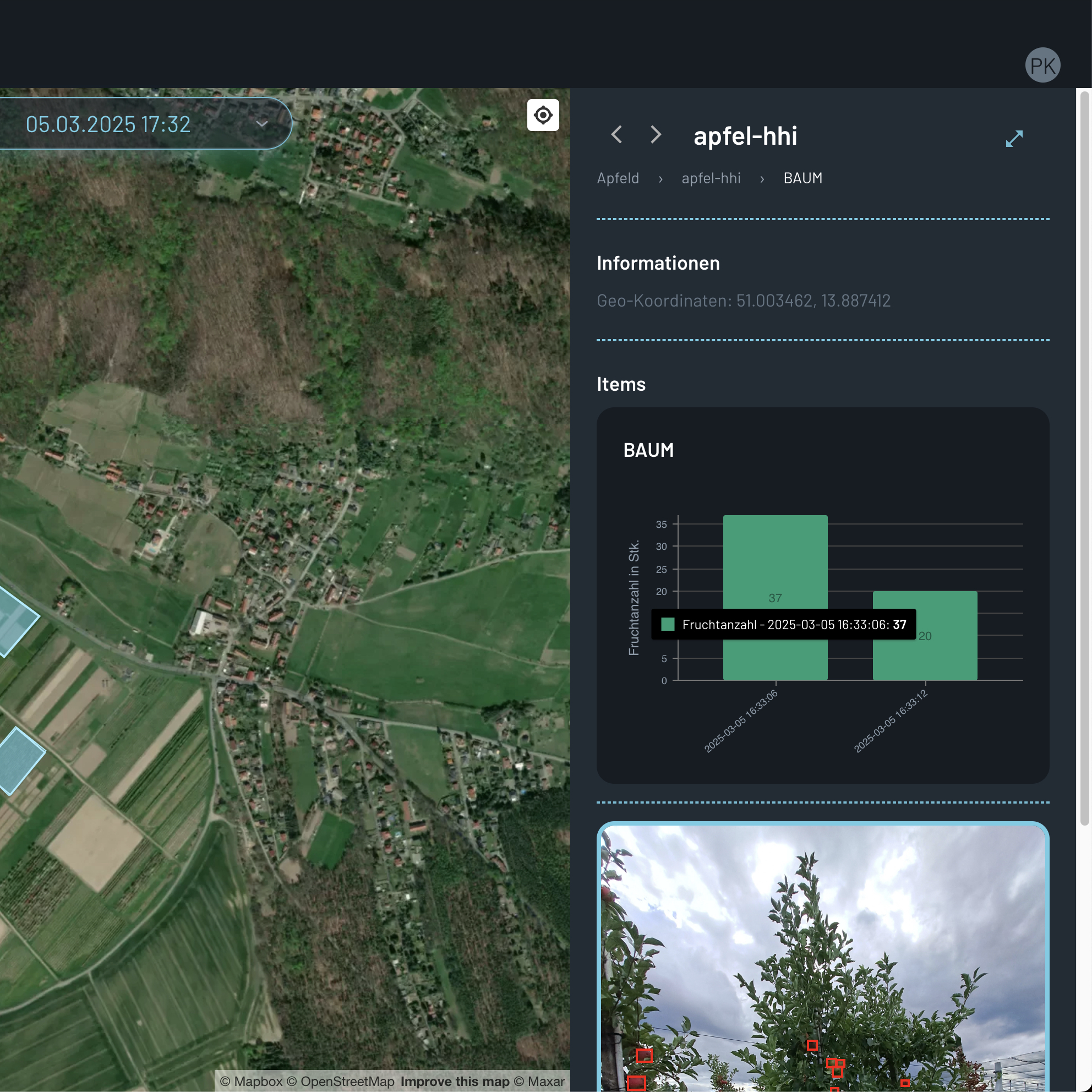 Image Datapoint Widget