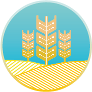 NaLamKI Logo